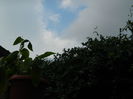 DSCN9050