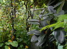 DSCN9051