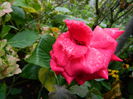 DSCN9053