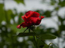 DSCN9054