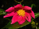 DSCN9063