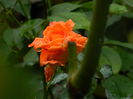 DSCN9065