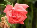 DSCN9070