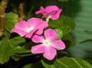 DSCN9074