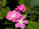 DSCN9075
