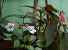 DSCN9077