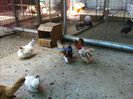 2014-07-26 12.32.13