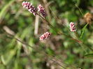 P8293773