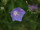 P8293891