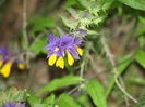 P8293927