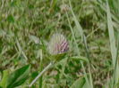 SANY0052