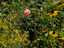 DSCN9104