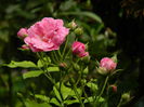 DSCN9108