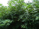 DSCN9123