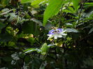 DSCN9128