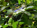 DSCN9143