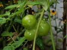DSCN9148