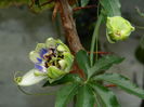DSCN9153