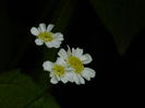 DSCN9157