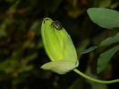 DSCN9165