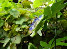 DSCN9166