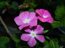 DSCN9173
