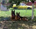 Layon & Meggi