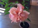 20140917_135034