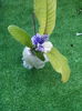 IMG_20140917_174029
