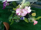 IMG_20140917_174144