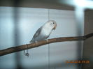 DSCN0657