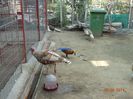 DSC02149