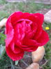 20140411_163523