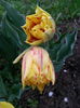 20140411_163651
