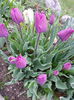 20140411_163718