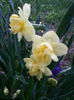 20140411_163842