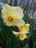 20140411_163922