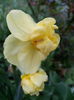 20140411_163944