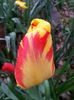 20140411_171854