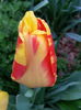 20140411_171913