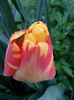 20140411_171918