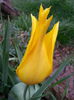 20140411_171930