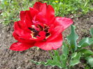 20140413_140715