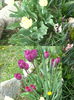 20140413_140733
