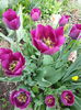 20140413_140744