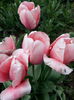 20140413_140943