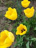 20140413_141019