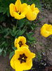 20140413_141036