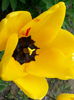 20140413_141056