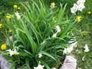 20140413_141140